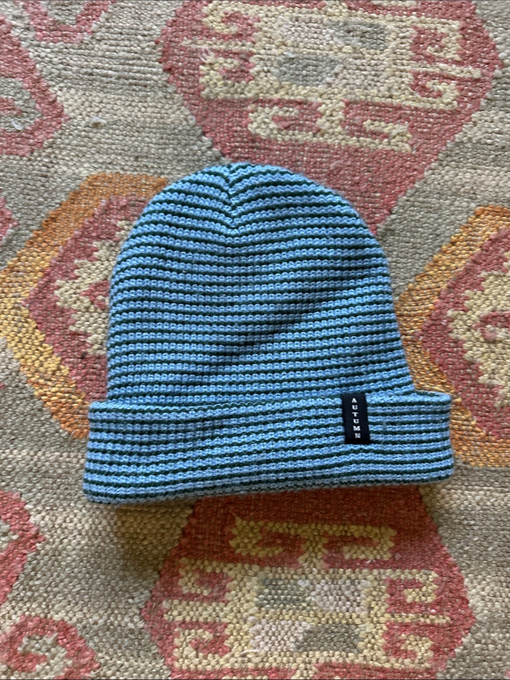 Autumn Striped Knit Beanie - Blue